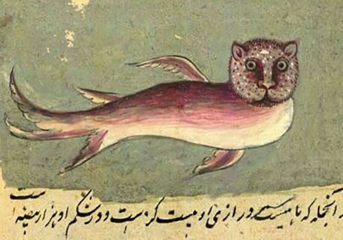 image-20240910113546-12