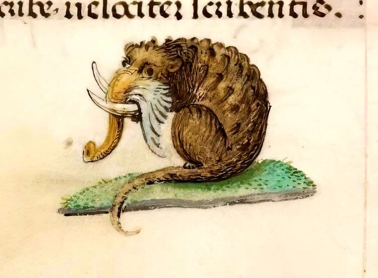 image-20240910113601-17