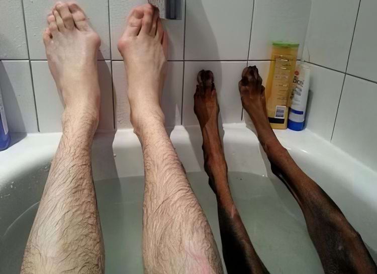 image-20240912154642-12