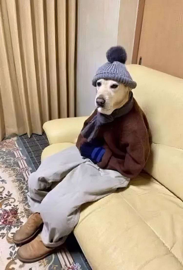 image-20240912154650-14