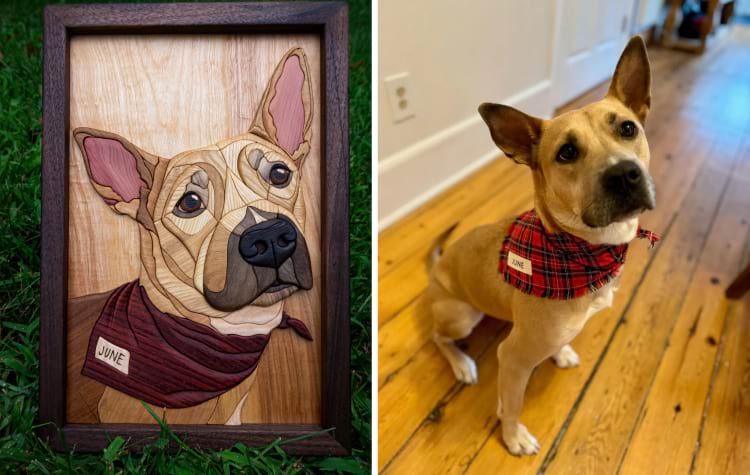 image-20240916131704-18