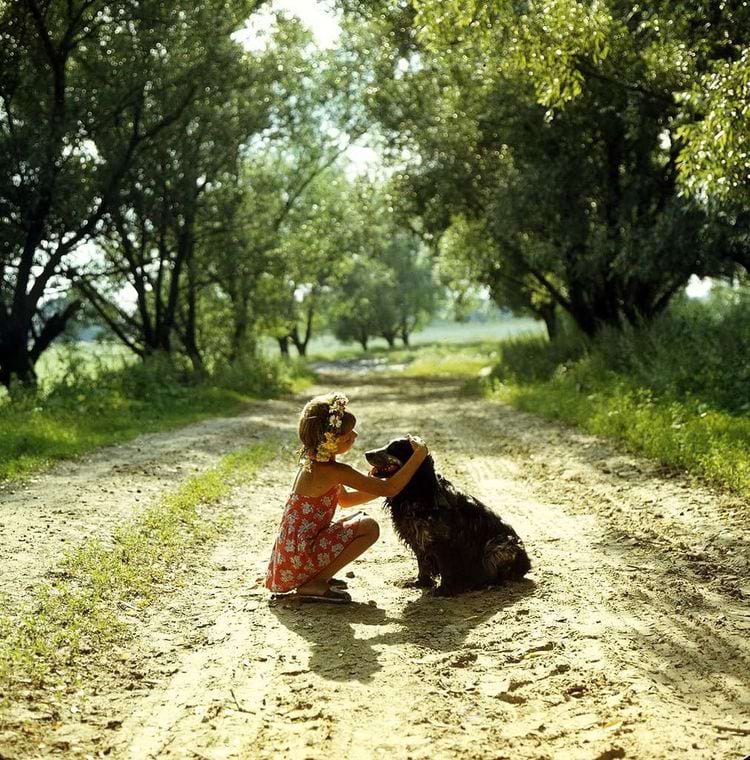 image-20240918120435-9