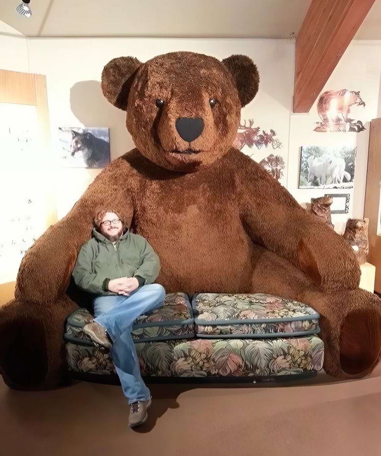 image-20240918134407-3