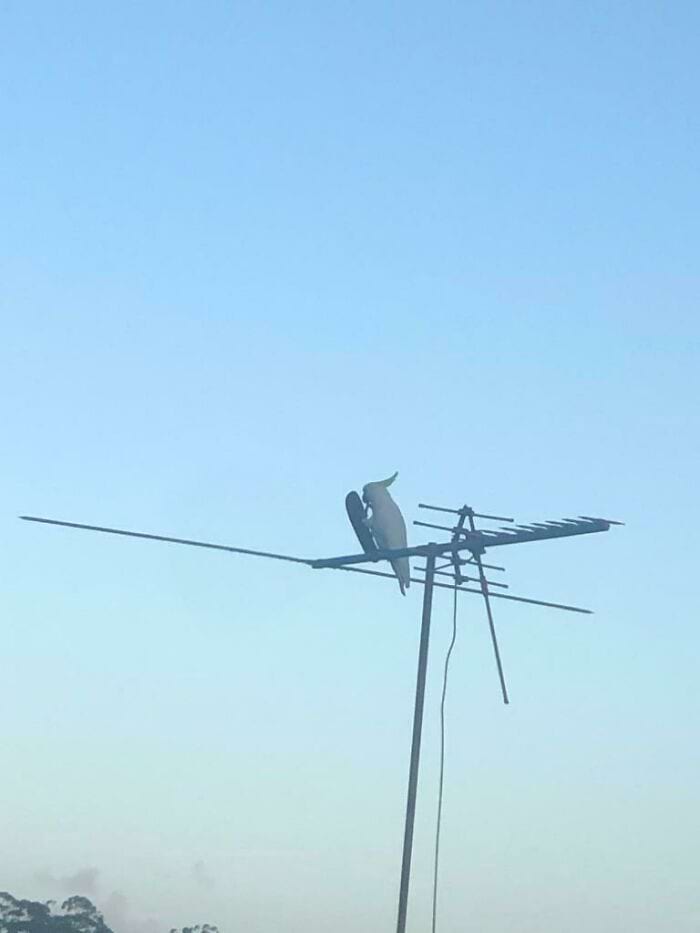 image-20240923143305-1