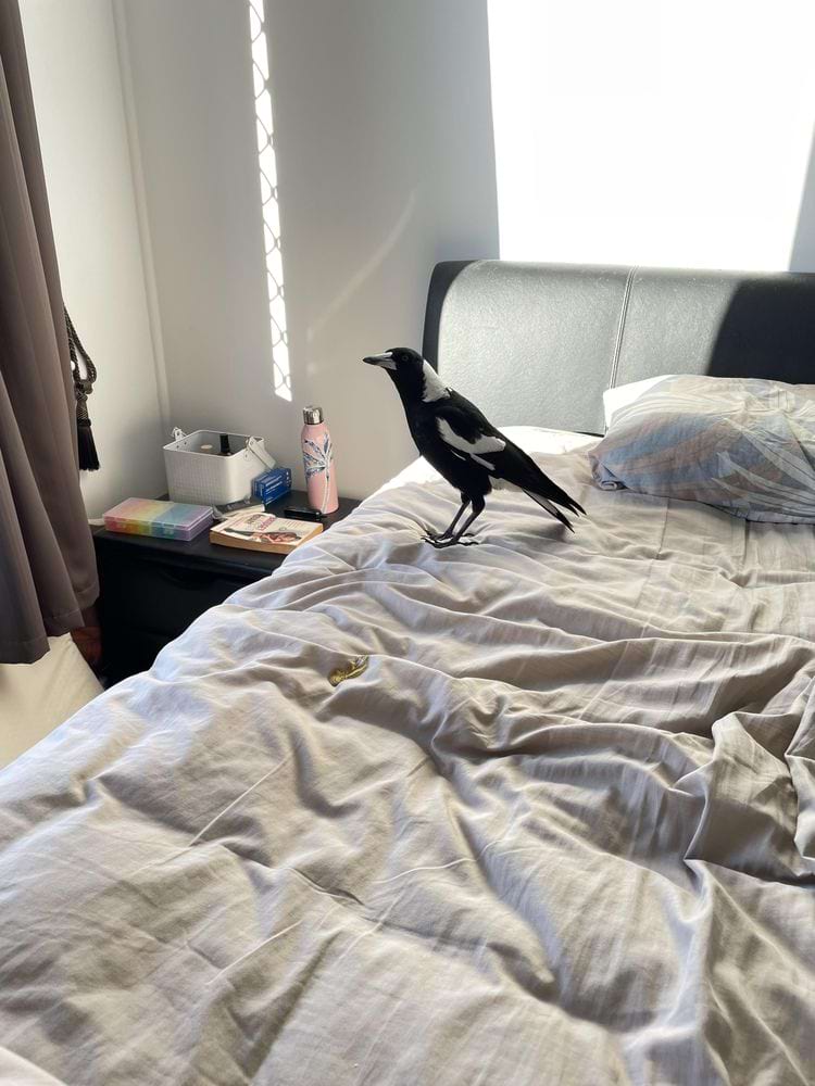 image-20240923143321-6