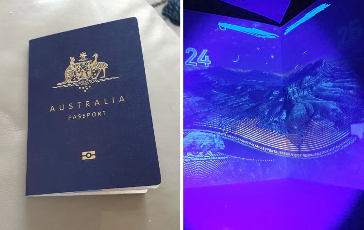 image-20240923143336-10