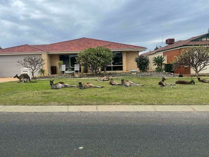 image-20240923143338-11