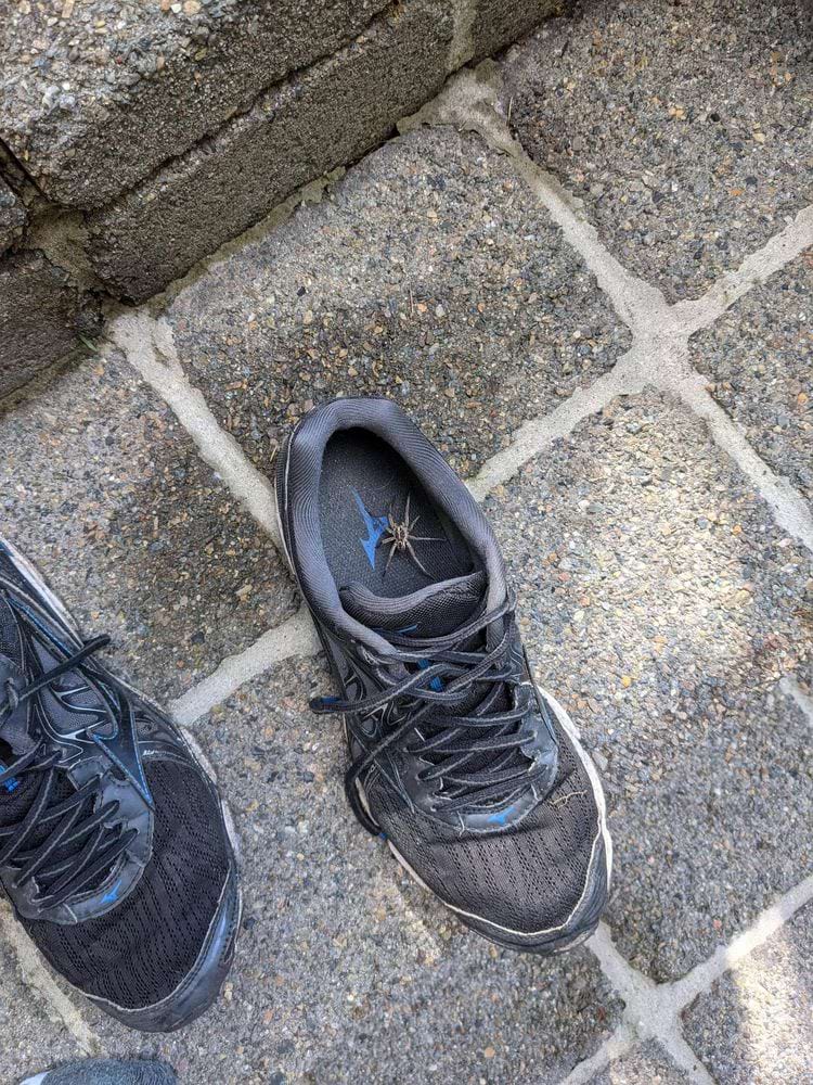 image-20240923143342-12