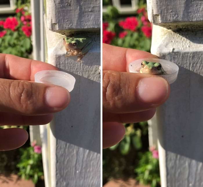 image-20240926122236-1