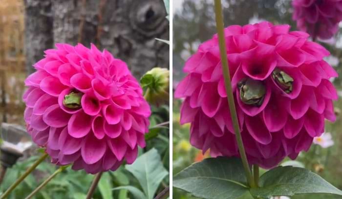 image-20240926122239-2