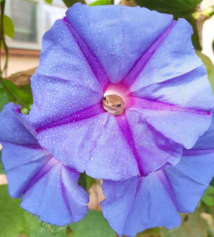 image-20240926122413-5