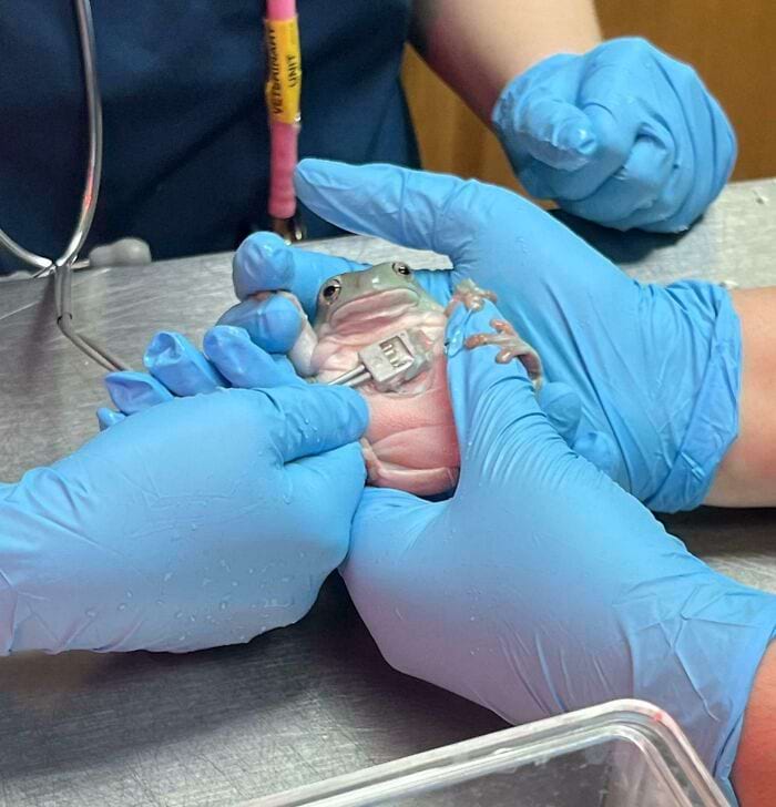 image-20240926122417-6