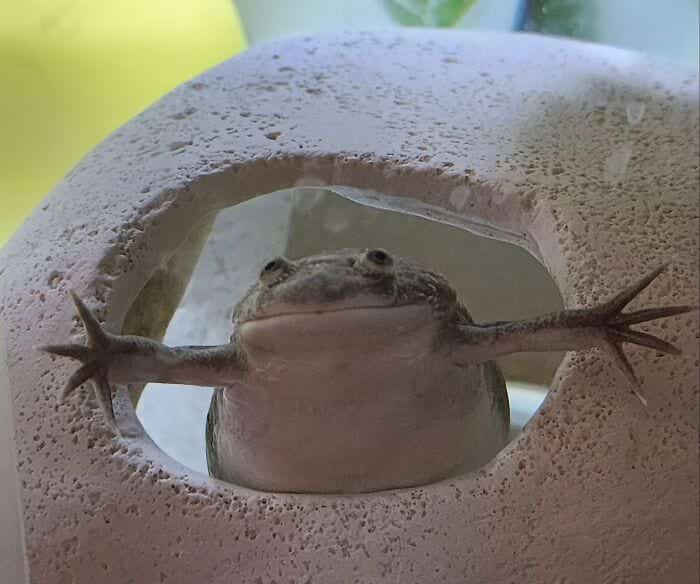 image-20240926122420-7