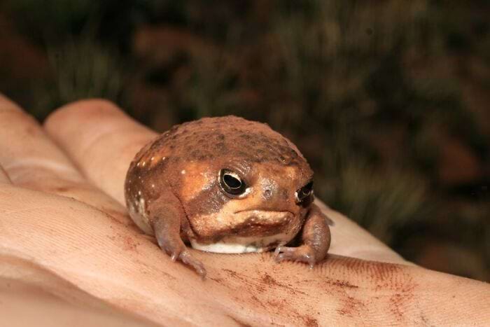 image-20240926122427-9