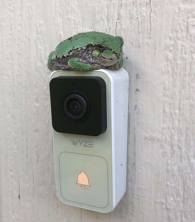 image-20240926122636-16