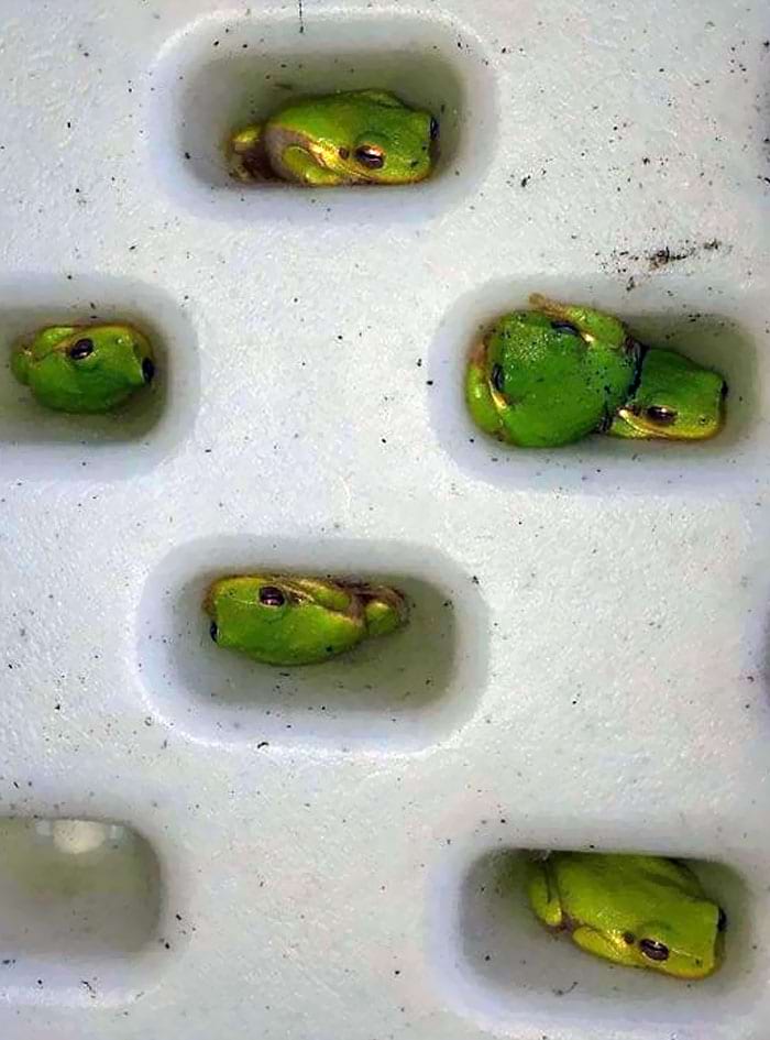 image-20240926122642-18