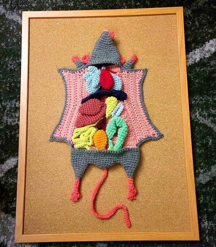 image-20240926140940-8