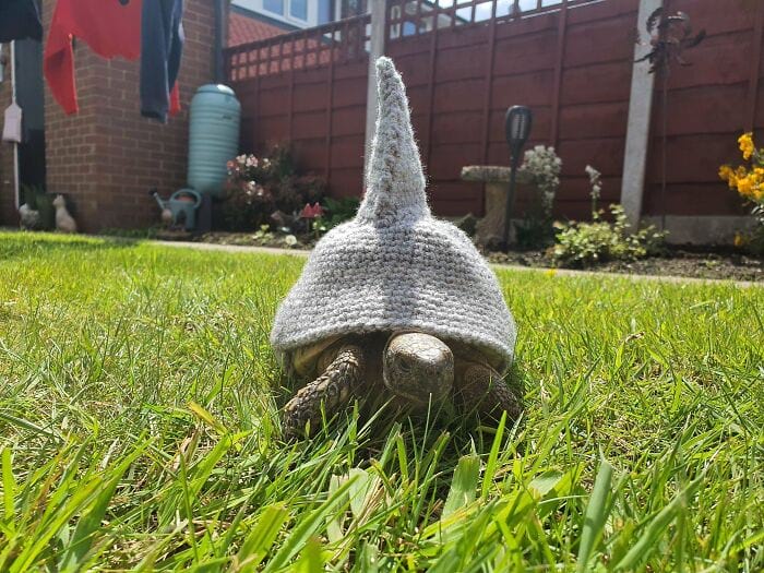 image-20240926140951-11