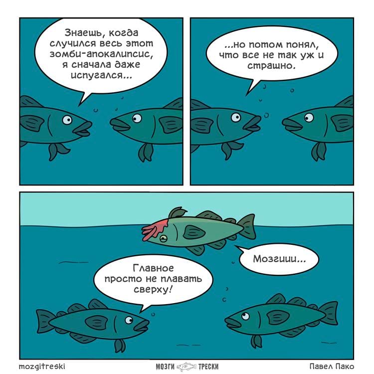 image-20240930124659-12