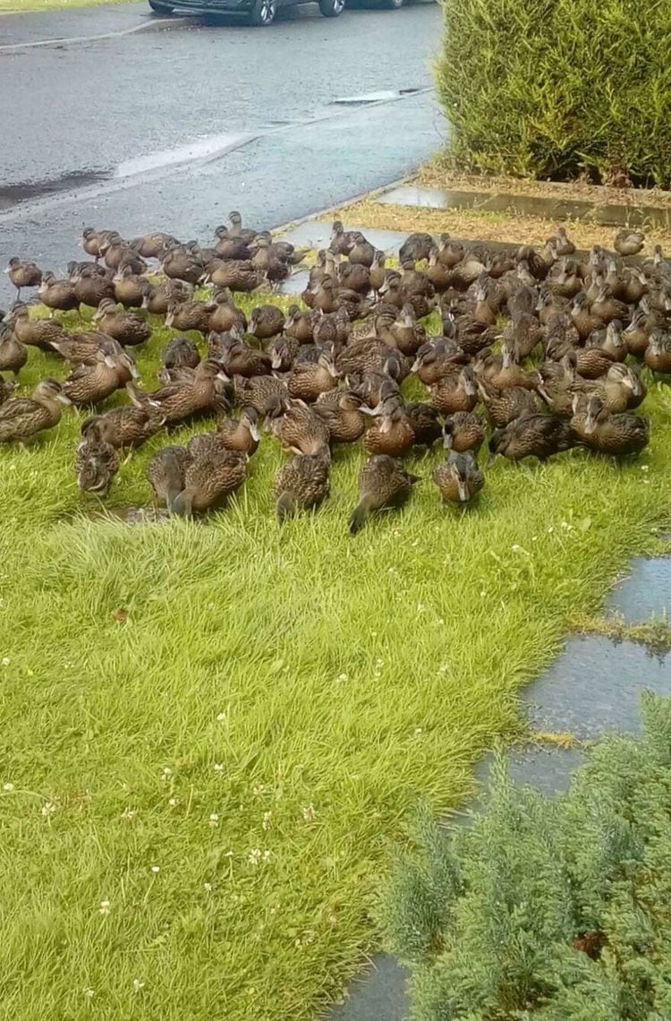 image-20241004174028-5