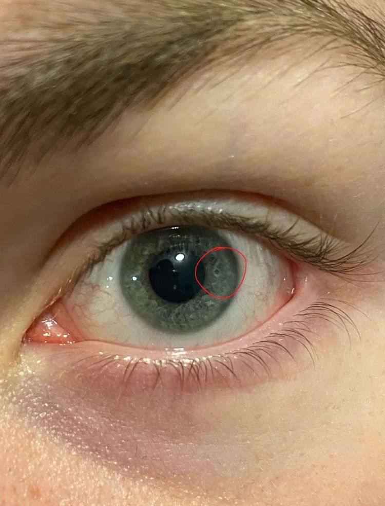 image-20241004174101-15