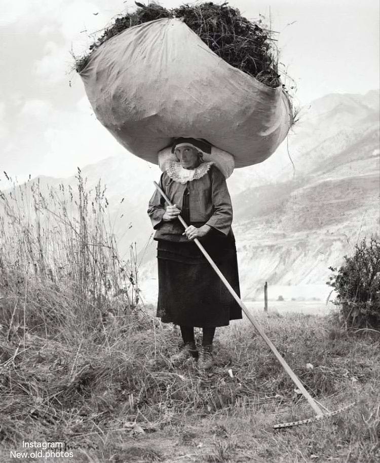 image-20241008150928-15