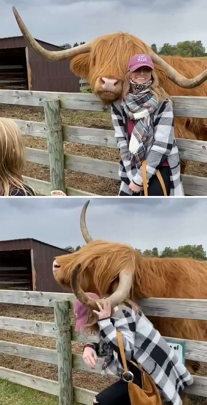 image-20241009130619-7