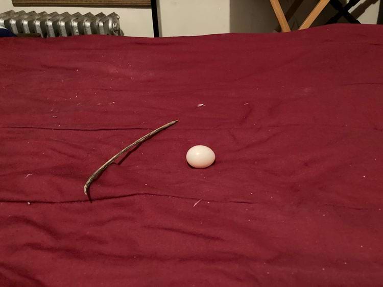 image-20241010174557-6