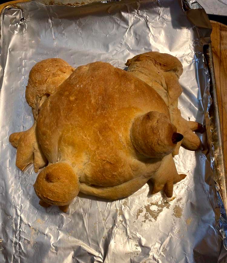 image-20241010175347-12