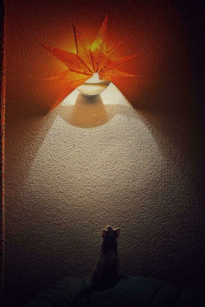 image-20241018112449-3