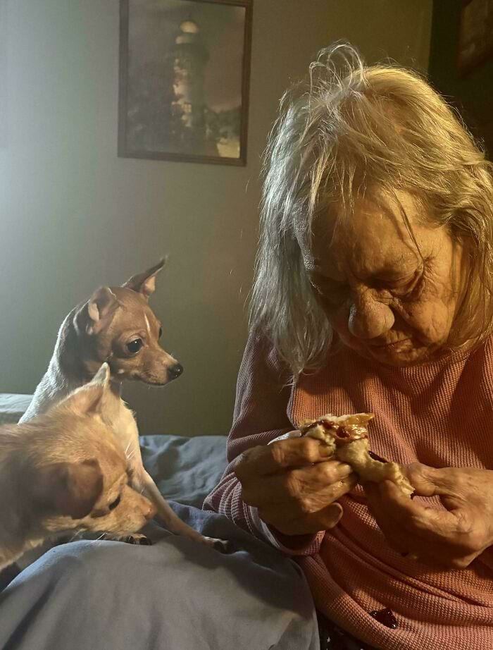 image-20241018112527-15