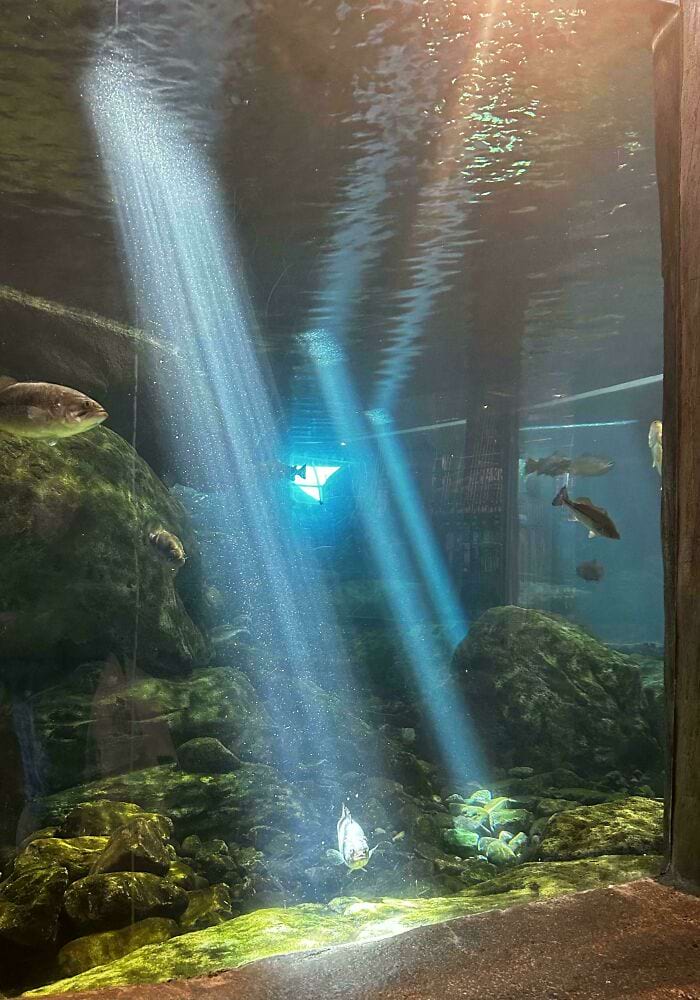 image-20241018112532-17