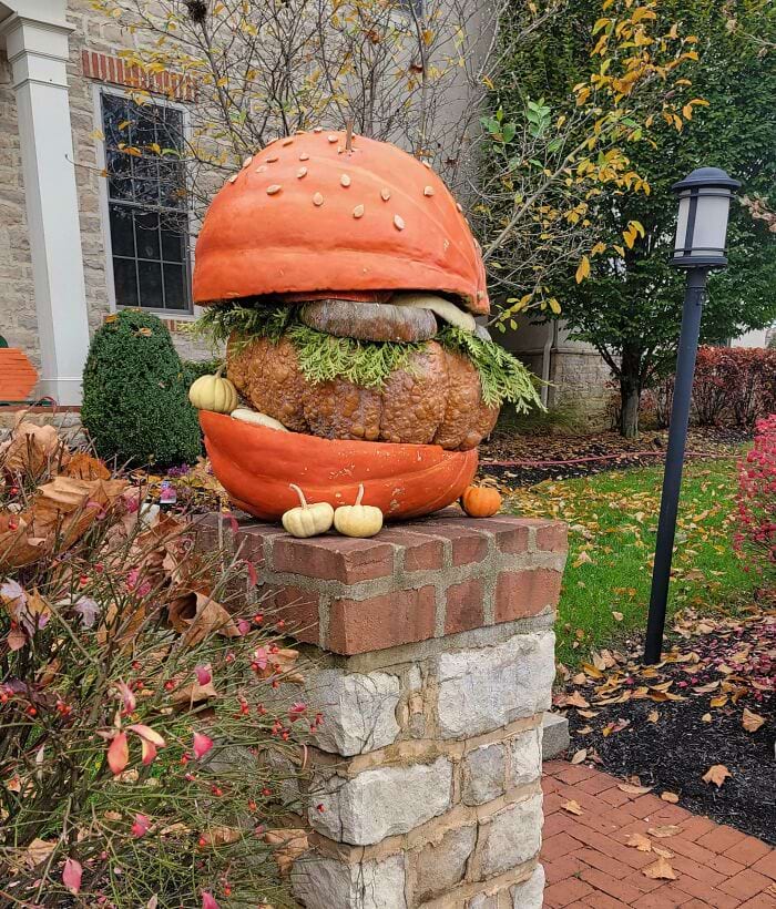 image-20241018122403-15