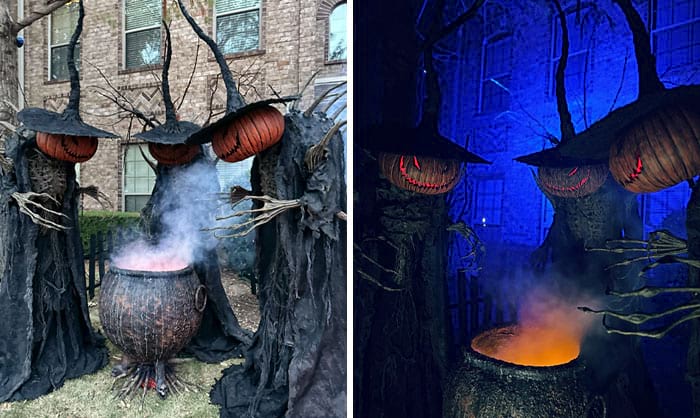 image-20241023110203-1