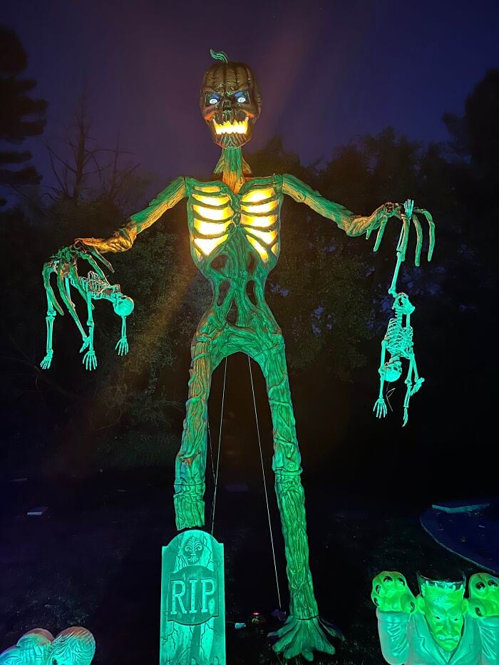 image-20241023110257-18