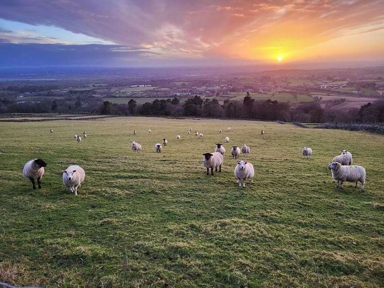 image-20241025140137-1