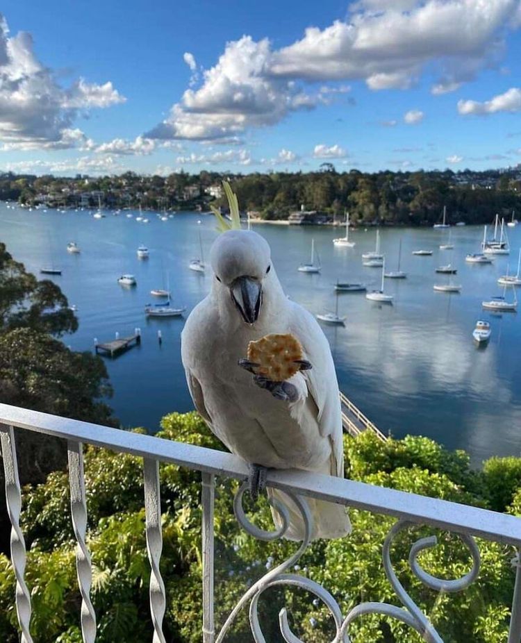 image-20241025140140-2