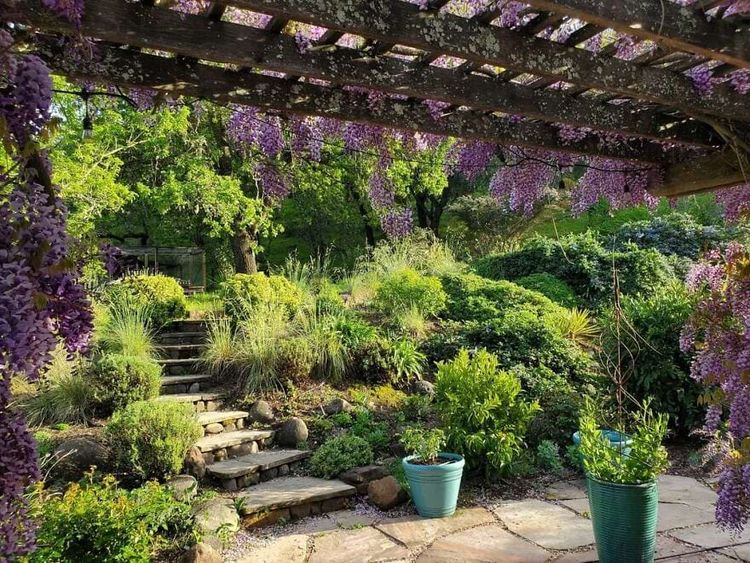 image-20241025140209-11