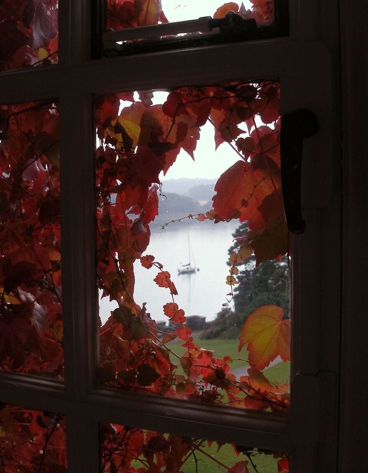 image-20241025140222-15