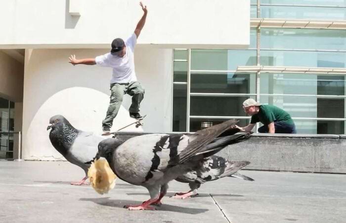 image-20241105102844-17