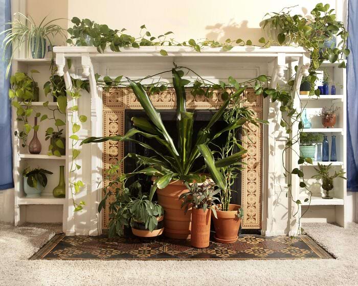 image-20241105120401-11