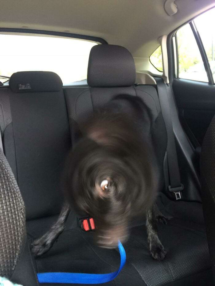 image-20241105165115-6