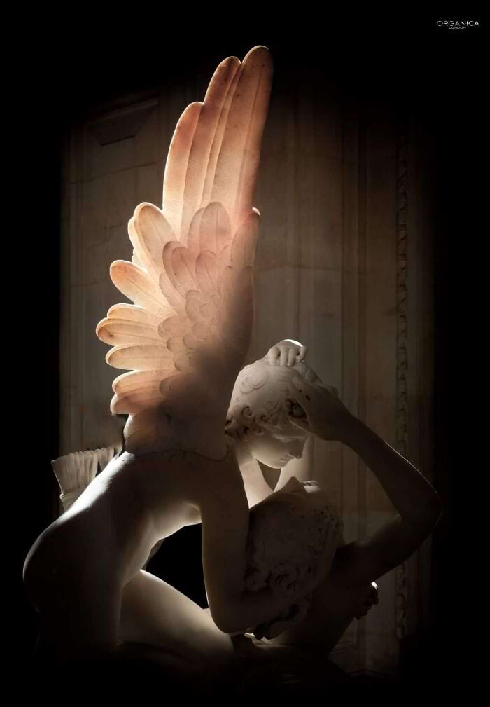 image-20241106133922-4