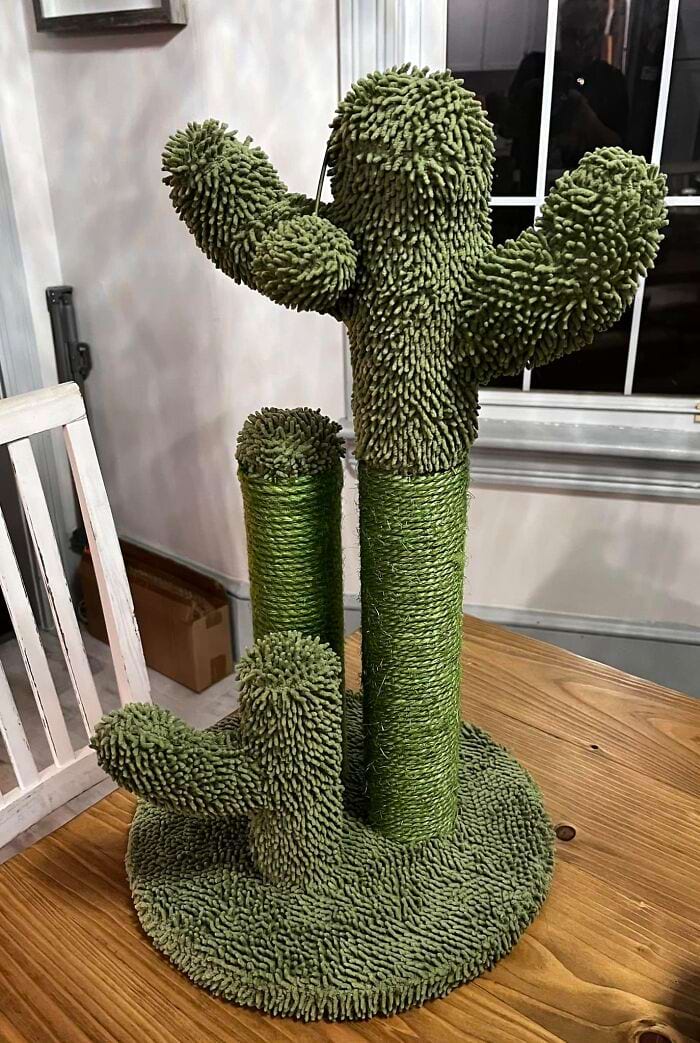 image-20241106170815-3