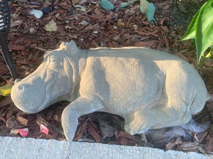 image-20241106170822-5