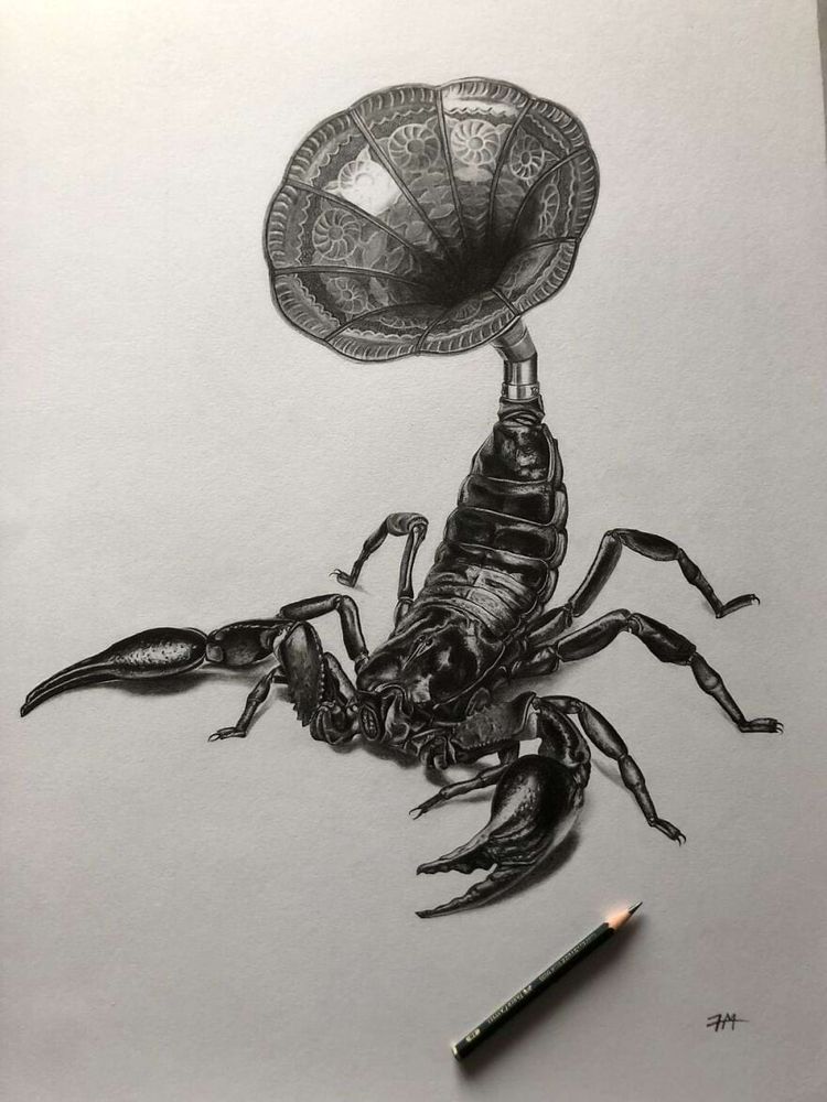 image-20241112115717-15