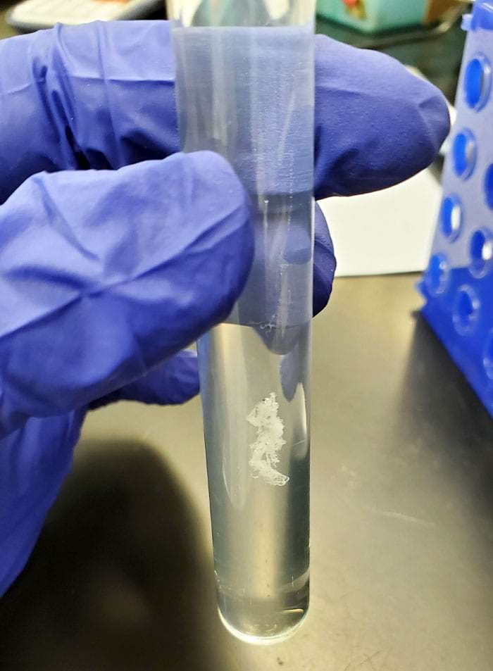 image-20241112135210-2