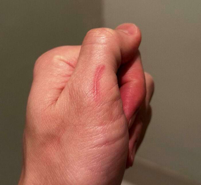 image-20241112135235-10