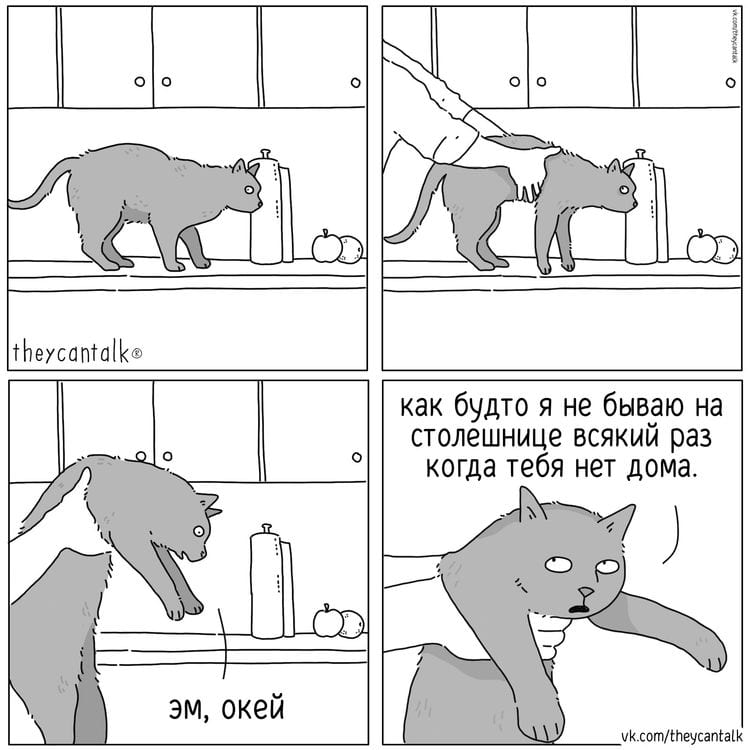 image-20241112143640-3