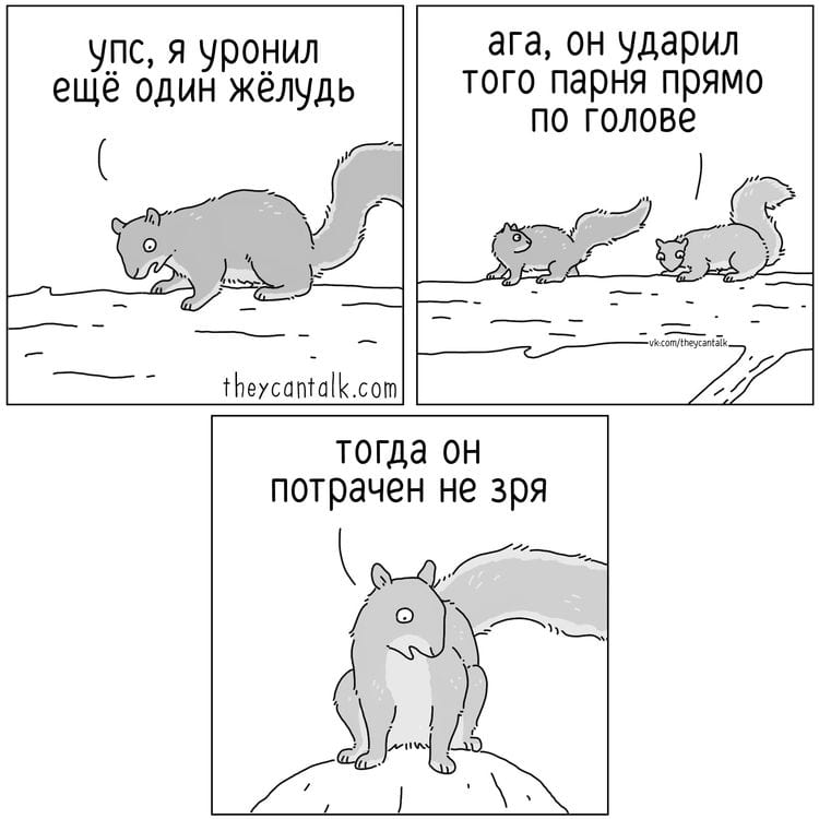 image-20241112143647-5